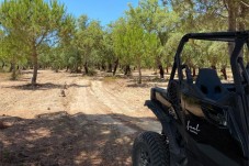 Tour de Buggy Off Road na Comporta p/2 (1h45)